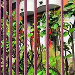 Joivy Cosy Studio With Balcony Near The City Centre